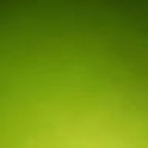 Meet your Posher, Adrienne